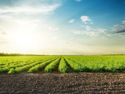 رؤية الأرض في&nbsp;المنام